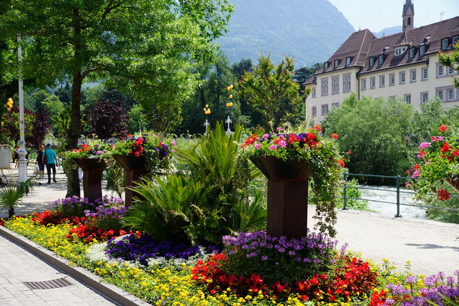Blumenpracht in Meran