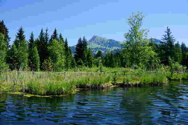 Am Schwarzsee mit Blick zum Kitzbühler Horn