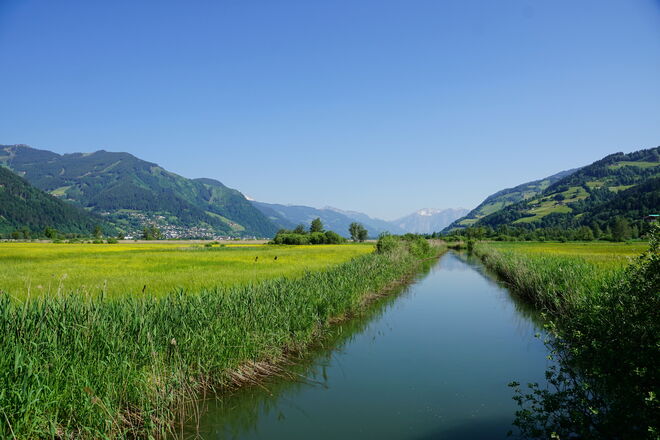 Gelbe Wiesen - Naturschutzgebiet Zeller See