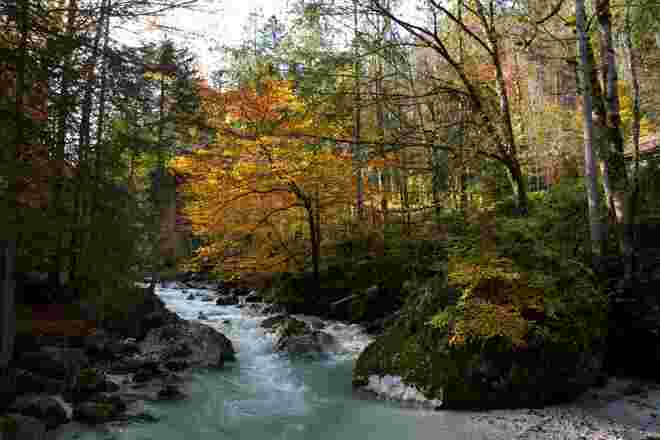 Jetzt zeigt sich der Herbst von der schönsten Seite