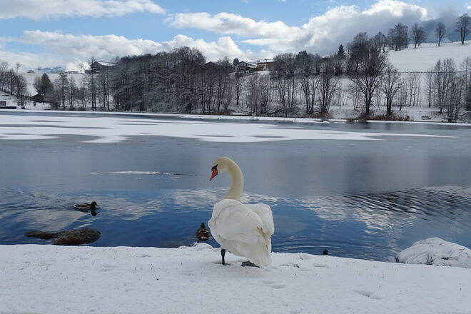 Das Weiß ist wieder zurück