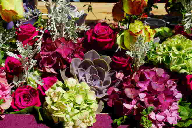 Sommerliche Blütenfülle