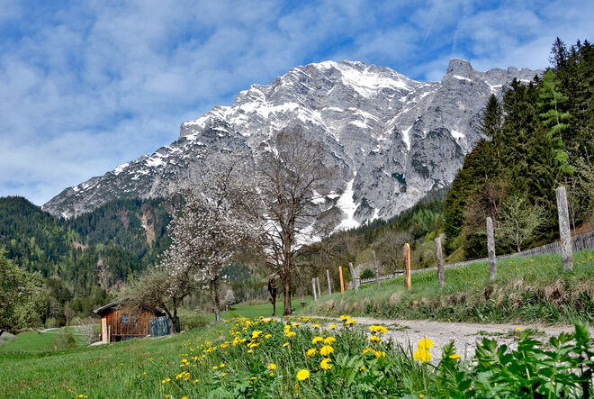 Schönheit am MTB-Wegesrand