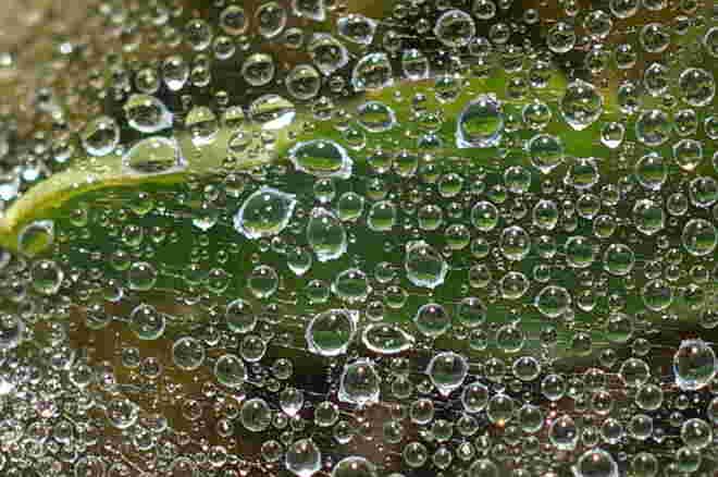 Tropfennetz 1