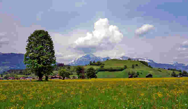gleich um´s Eck