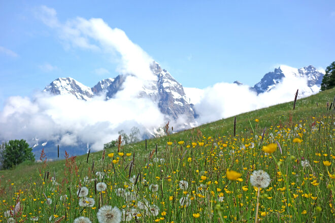 Moment des Aufbruchs