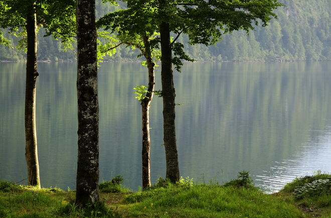 Abendstille am Grundlsee