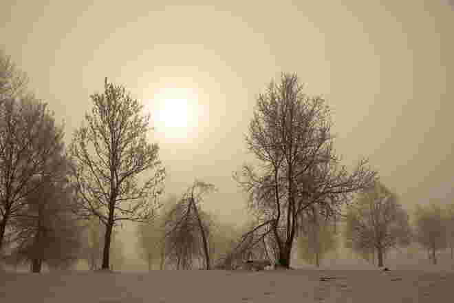 Nebelmorgen