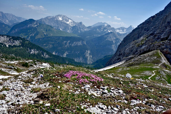 alpiner Blick
