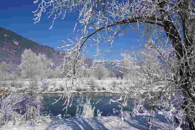Winter an der Salzach