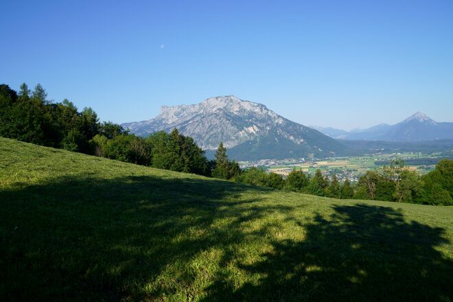 Morgenstund hat Gold im Mund...