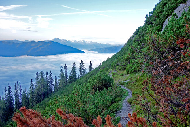 Steig über den Wolken