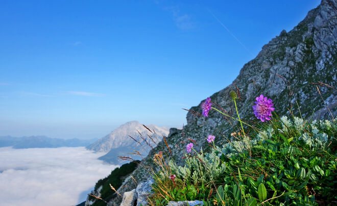 liebliche schöne Bergwelt