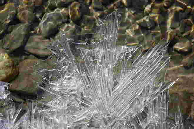 Ein Kunstwerk der Natur