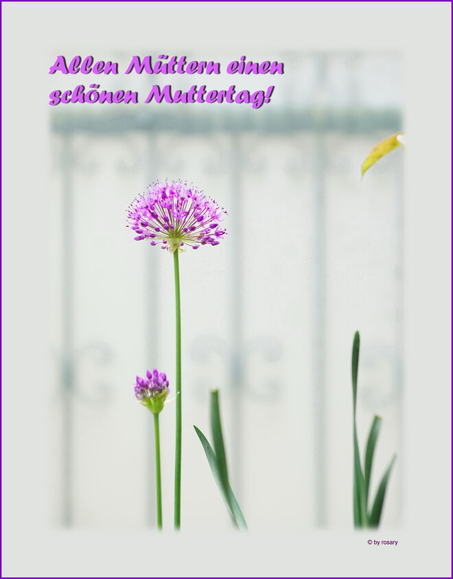 Muttertagsgrüße