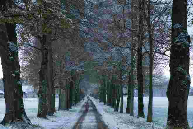 Winterromantik in der Hellbrunner Allee