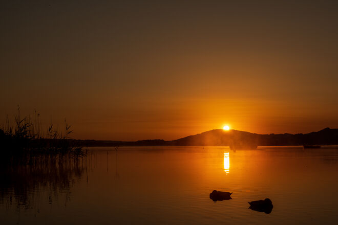 #wallersee_am_morgen