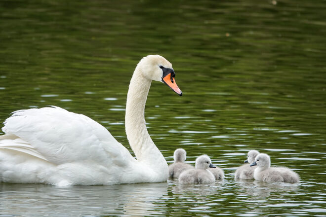 Der erste kleine Ausflug