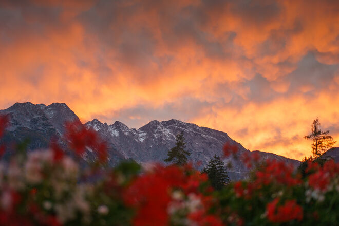 Abendrot über dem Hohen Göll
