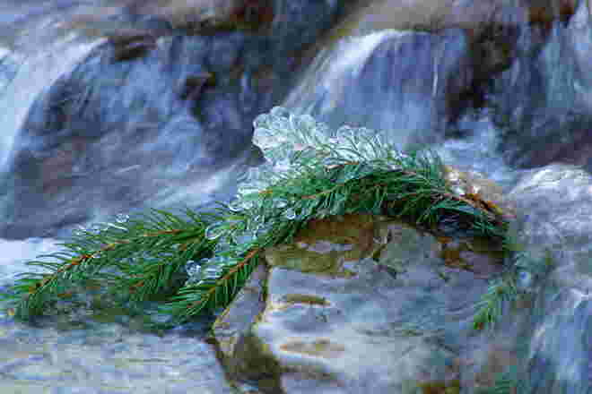 Kleine Kostbarkeiten der Natur