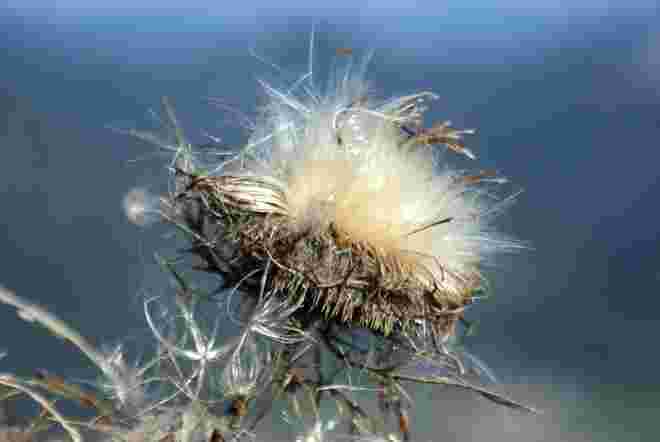 Herbst samtweich