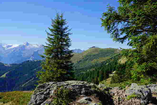 Die Schmittenhöhe - unser wunderbarer Wanderberg mit toller Aussicht