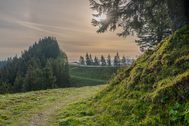 Der Weg ist das Ziel