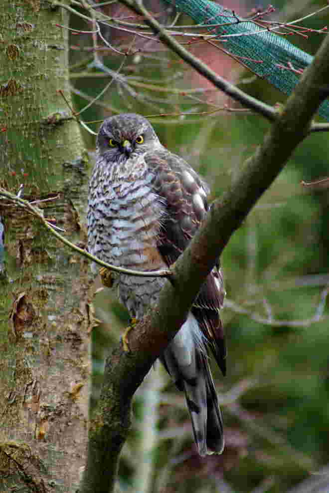 Total unerwünschter Besucher