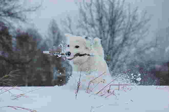 Spaß im Schnee