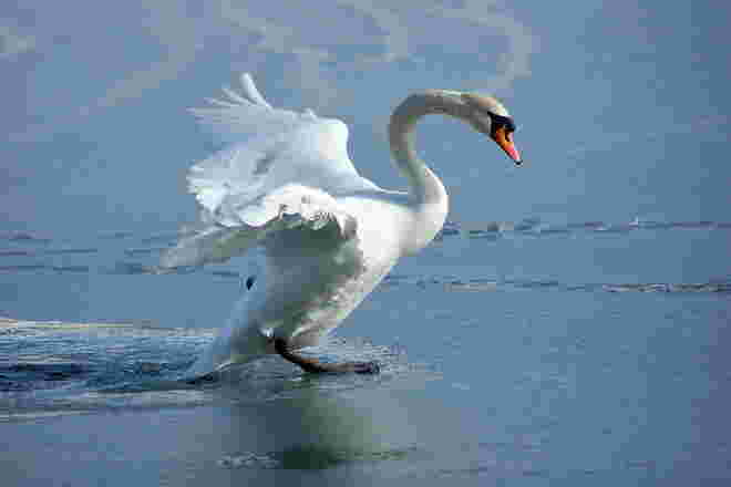 Im Landeanflug