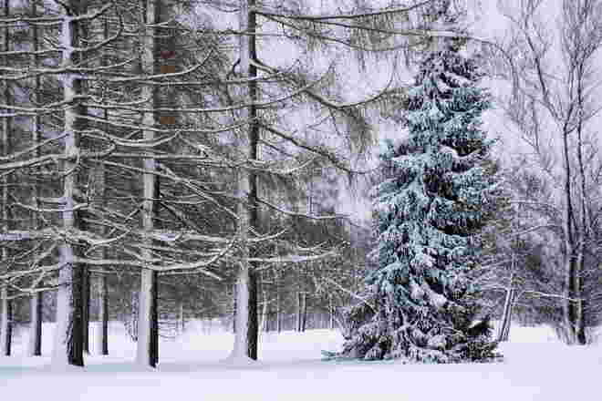 ... es schneit