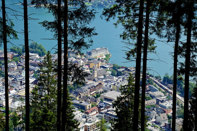 Hoch über Zell am See
