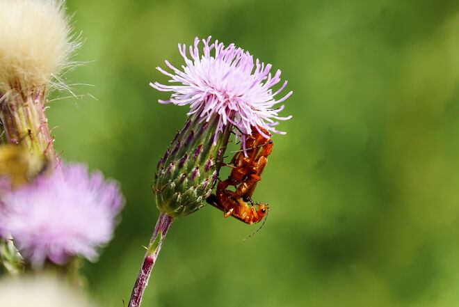 Wer will was von wem?