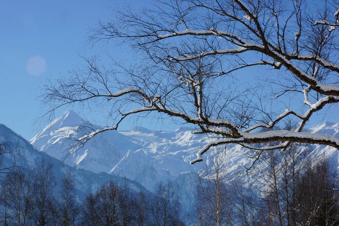 Ein herrlicher Wintertag 