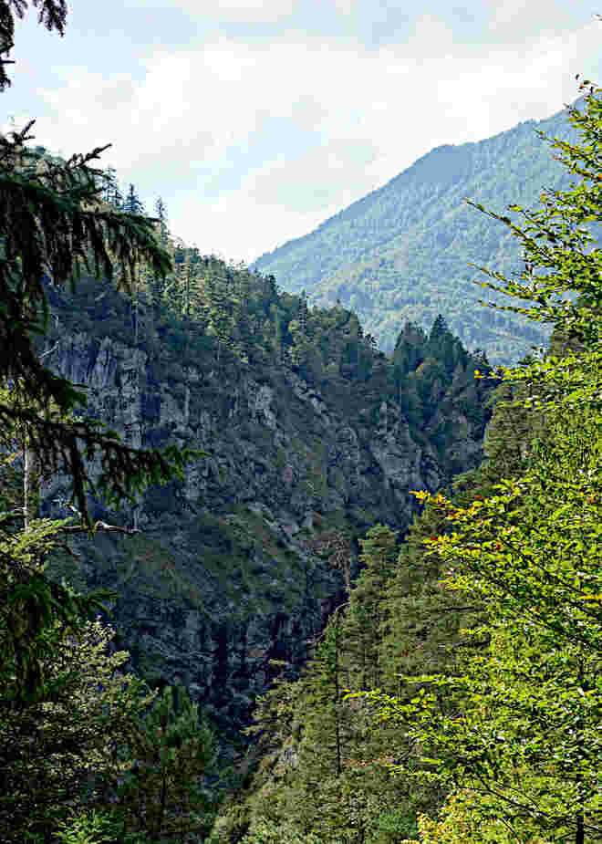 Blick in die Strubklamm....