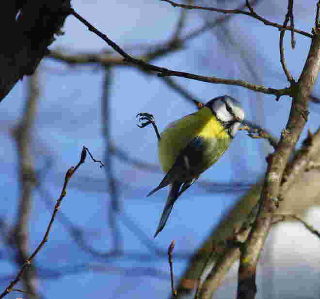 Richtungswechsel im Flug