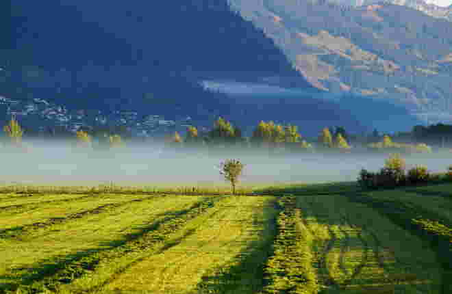Nebelstimmung am frühen Morgen