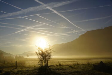 Goldener Sonntagmorgen