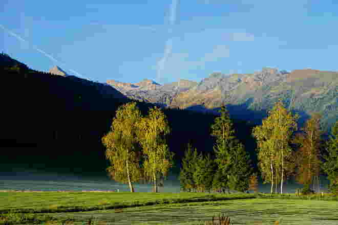 Leicht herbstliche Baumreihe vor dem schneelosen Kitzsteinhorn
