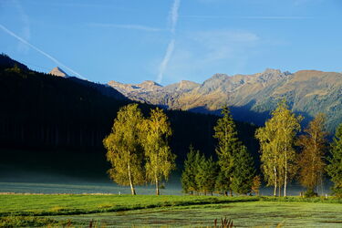 Leicht herbstliche Baumreihe vor dem schneelosen Kitzsteinhorn