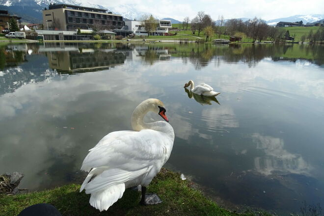 ganz nah und verrtauensvoll