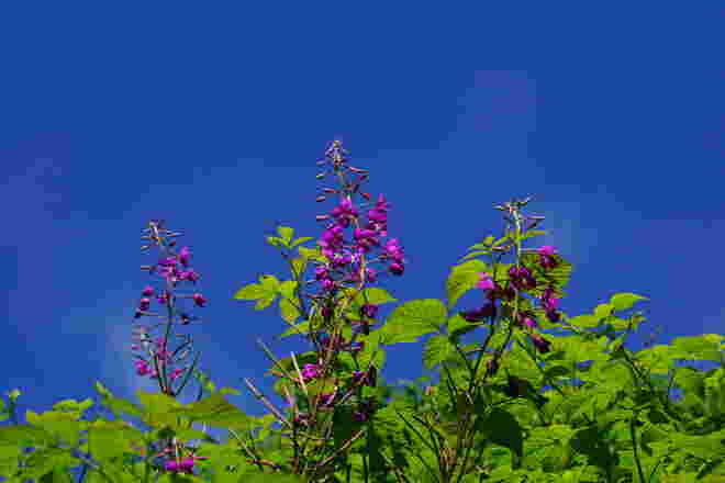 So blau könnte der Himmel sein