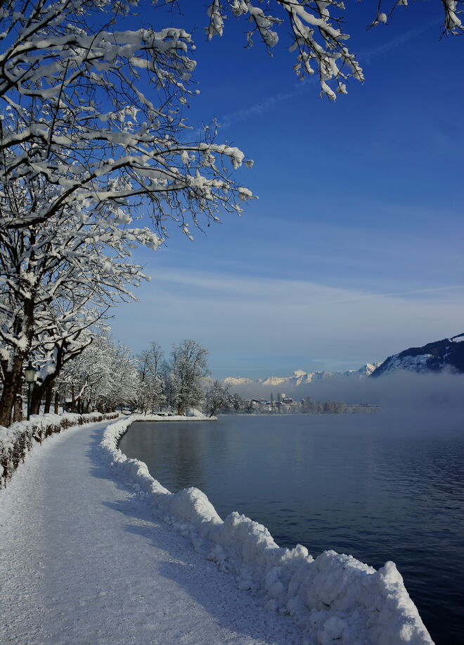 Winter am Zeller See
