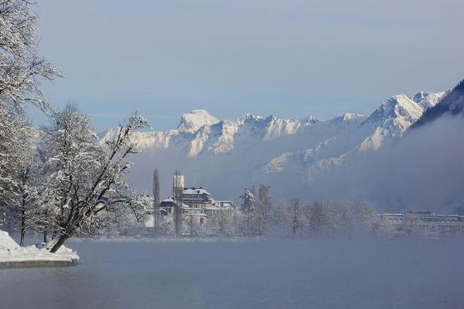 Aus dem Nebel aufgetaucht