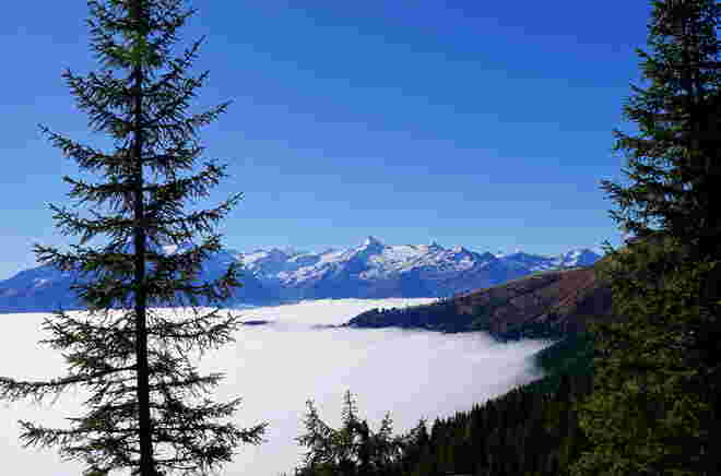 Oberhalb vom Nebel gab es heute eine traumhafte Sicht