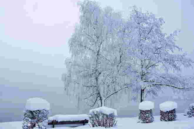 Morgens am Zeller See