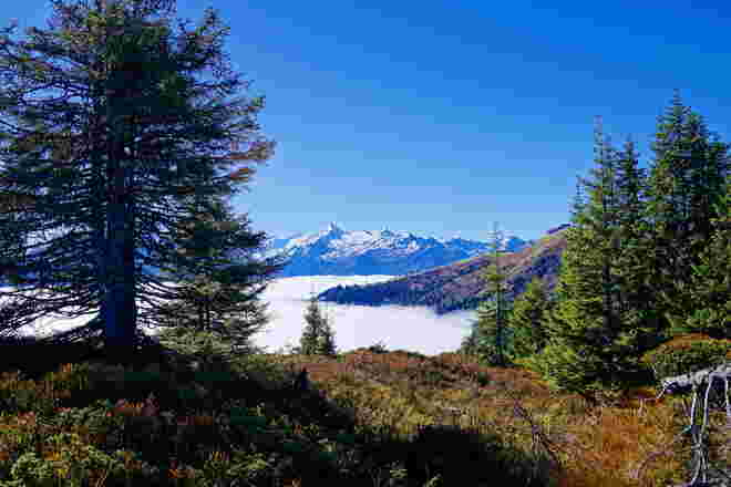 Meine schöne Heimat  - der immer wieder faszinierende Blick zum Kitzsteinhorn, diesmal mit dem Nebelmeer im Zeller Becken