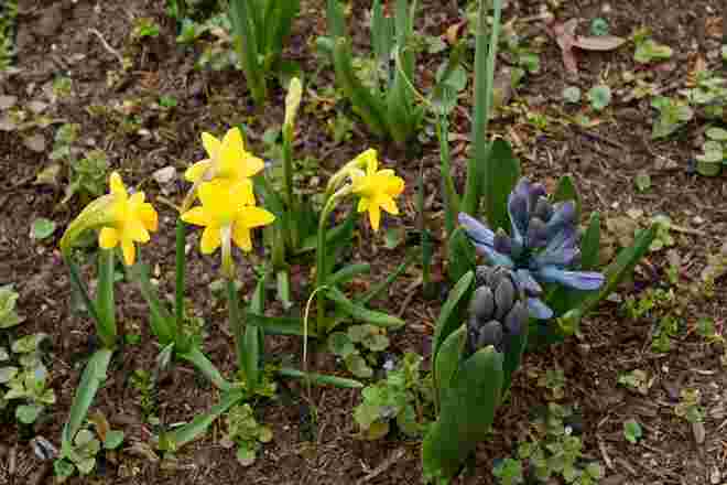 Faszination Frühling...