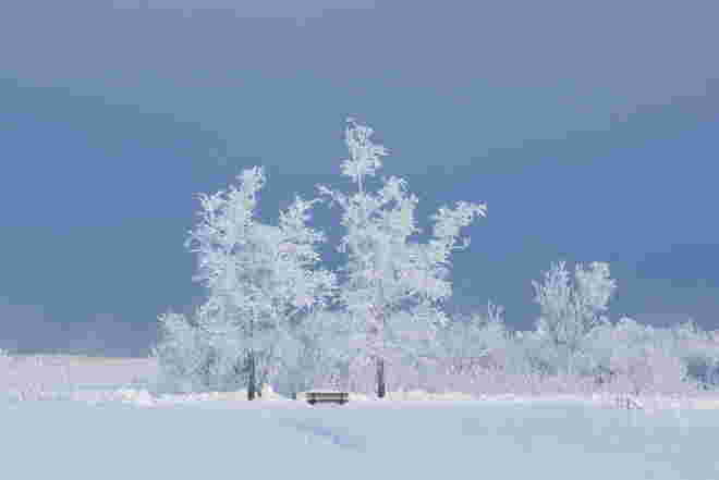 Traumhaft schöner Winter