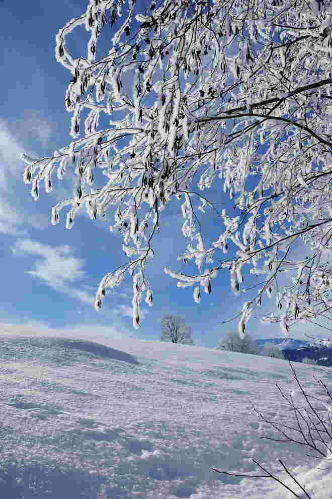 Winterfarben: blau und weiß
